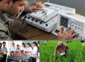 4-Year Diploma Scholarship Programme